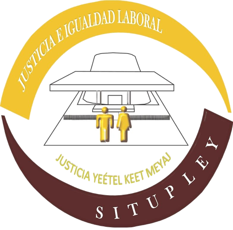 SITUPLEY Logo